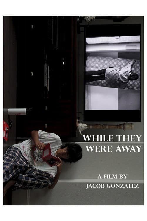 Poster for While They Were Away