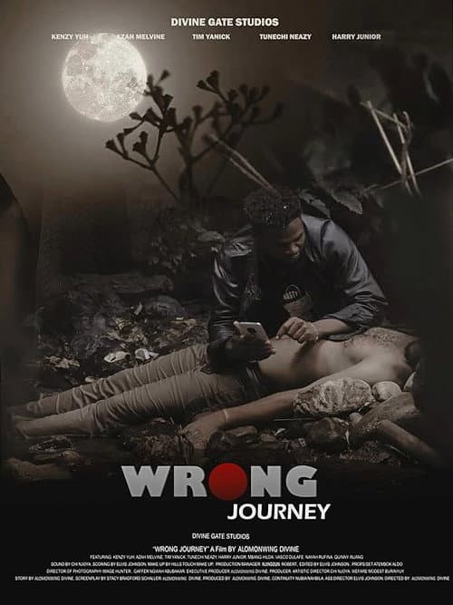 Poster for Wrong Journey