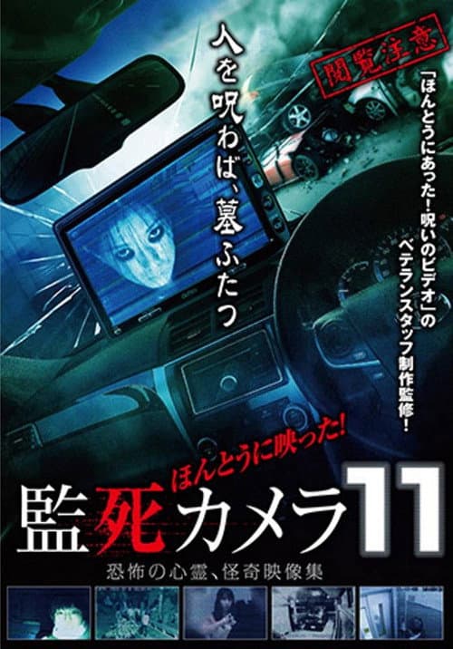 Poster for Paranormal Surveillance Camera 11