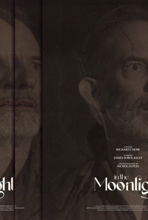 Poster for In The Moonlight