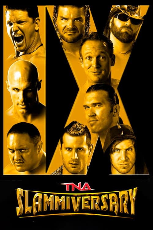 Poster for TNA Slammiversary IX