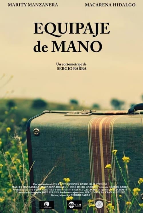 Poster for Hand Luggage