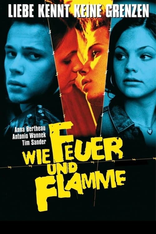 Poster for Never Mind the Wall