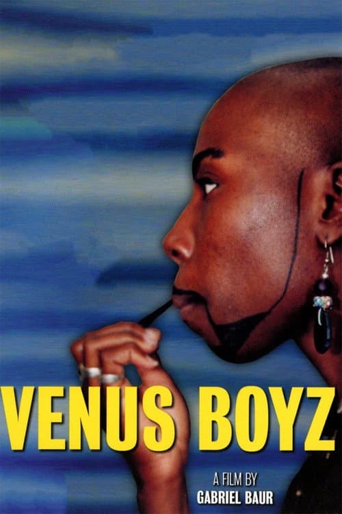 Poster for Venus Boyz
