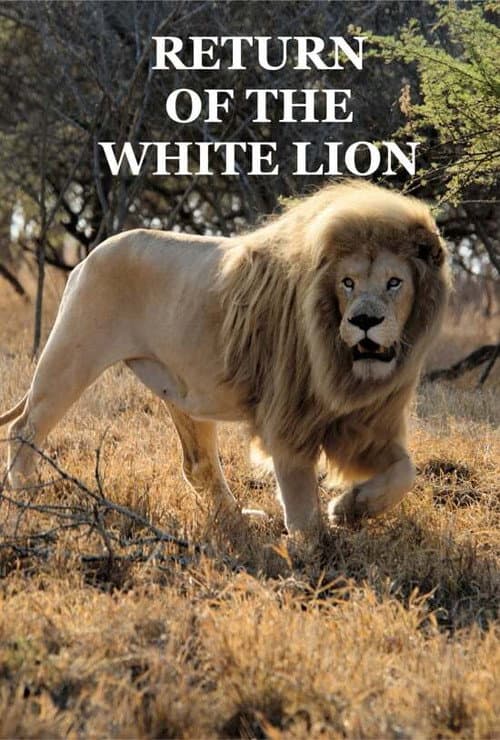 Poster for Return of the White Lion