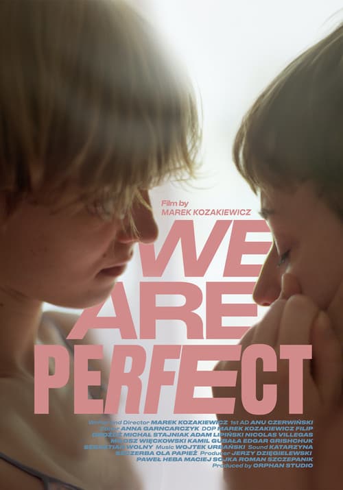 Poster for We Are Perfect