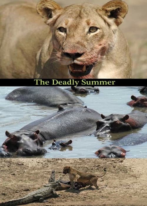 Poster for Deadly Summer