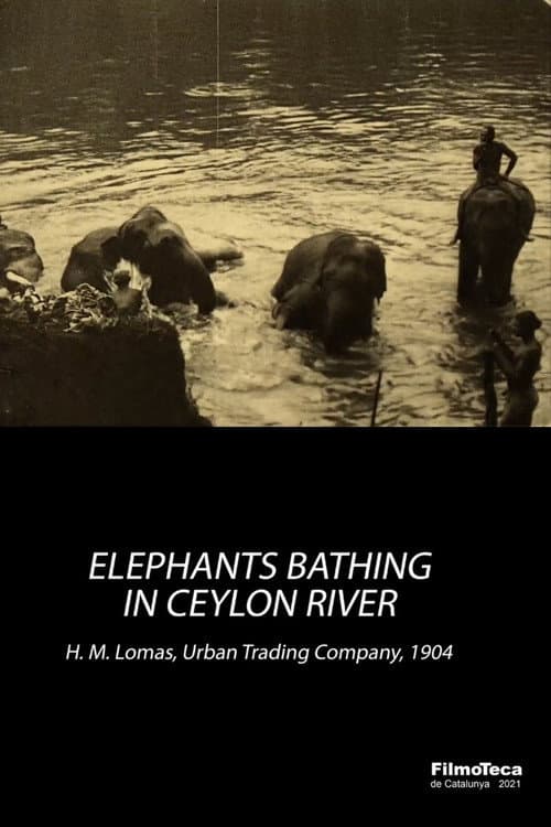 Poster for Elephants Bathing in Ceylon River