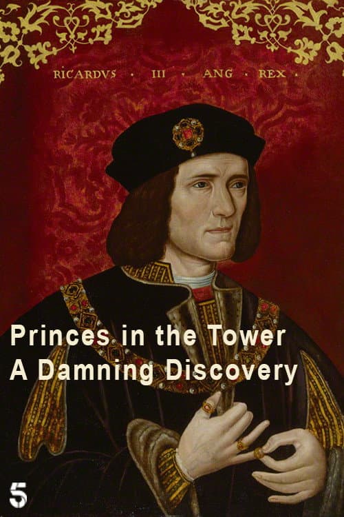 Poster for Princes in the Tower: A Damning Discovery