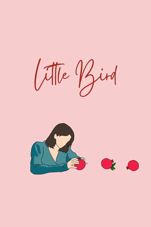 Poster for Little Bird