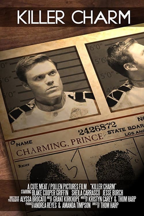 Poster for Killer Charm