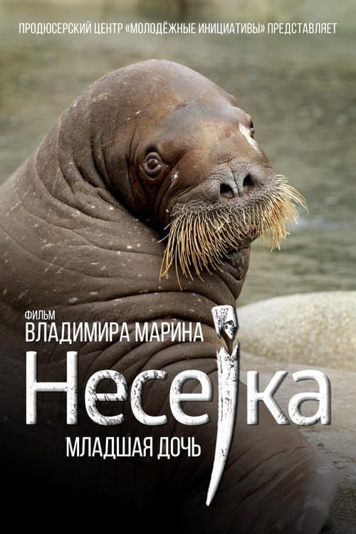 Poster for Neseyka: The Youngest Daughter