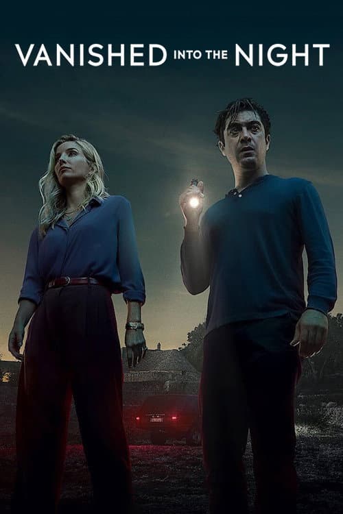 Poster for Vanished into the Night