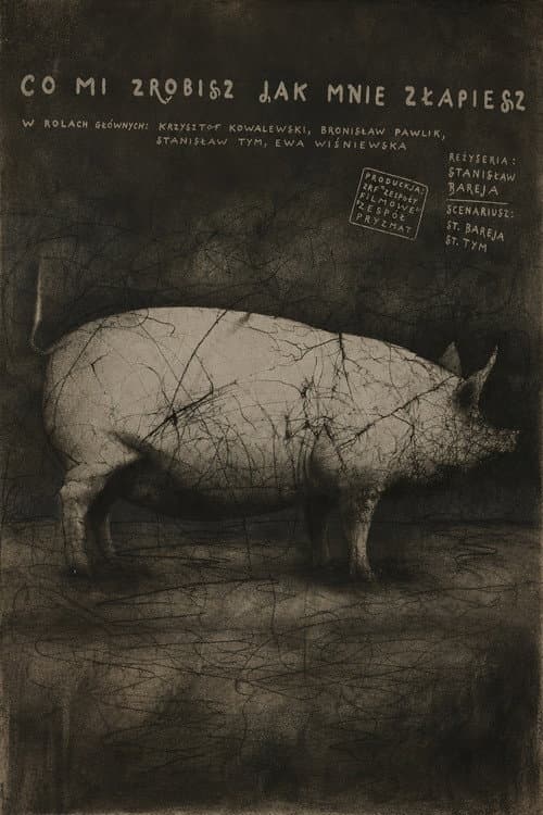 Poster for What Will You Do When You Catch Me?