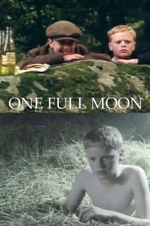 Poster for One Full Moon