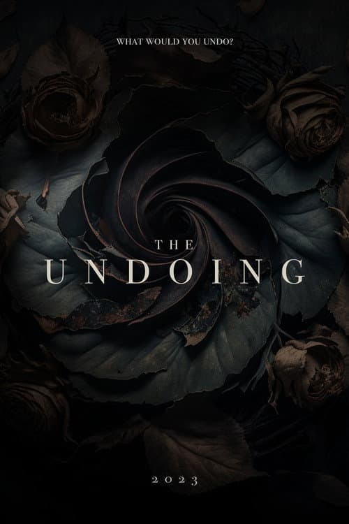 Poster for The Undoing
