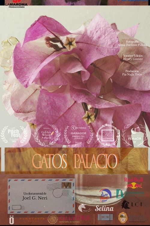 Poster for Gatos palacio