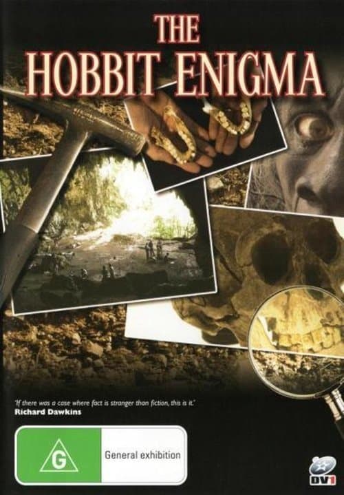 Poster for The Hobbit Enigma