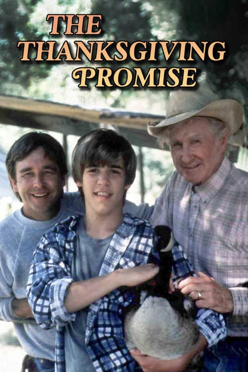 Poster for The Thanksgiving Promise