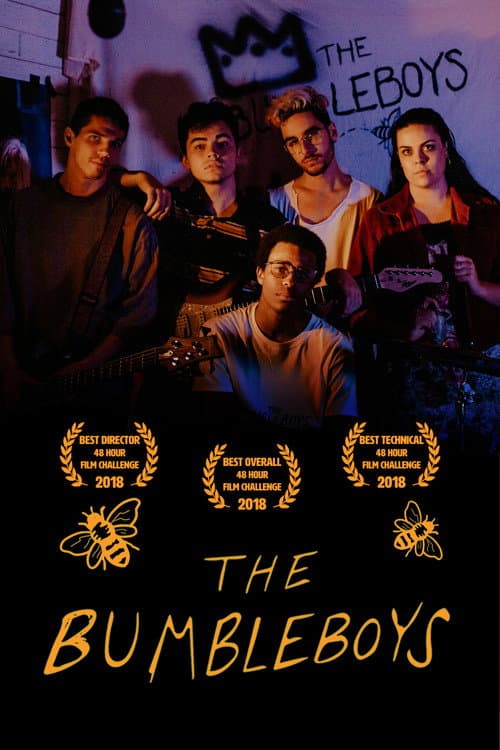 Poster for The Bumbleboys
