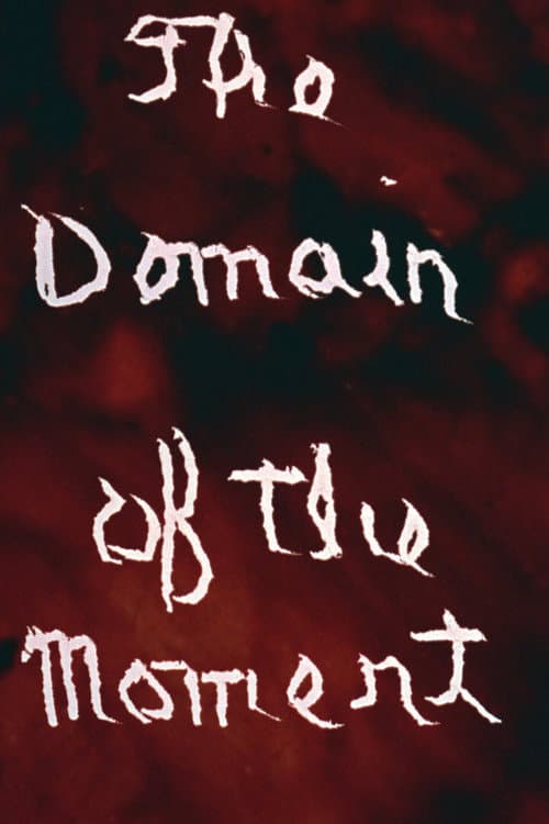 Poster for The Domain of the Moment