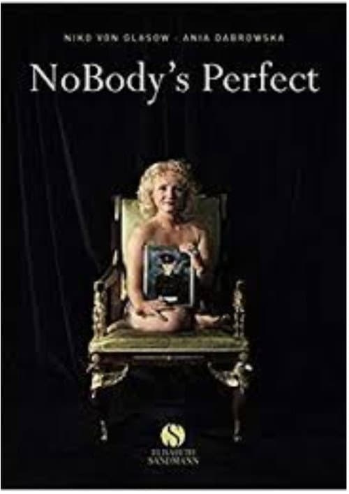 Poster for NoBody's Perfect