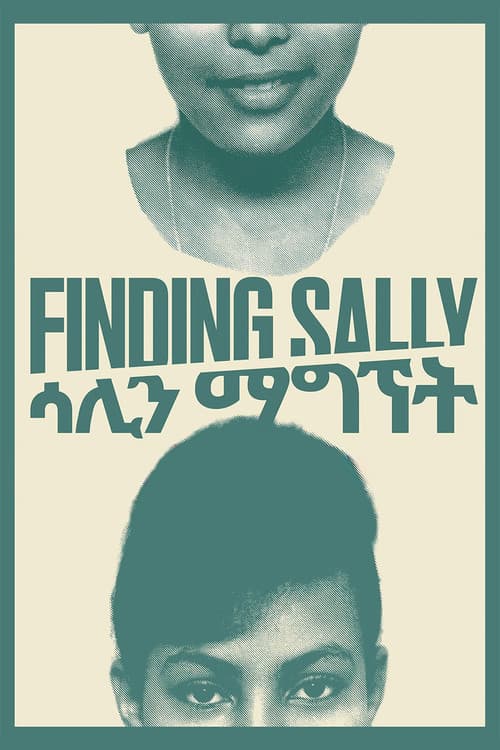 Poster for Finding Sally