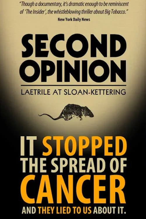Poster for Second Opinion