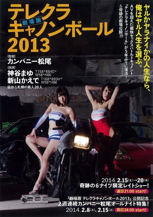 Poster for The Sex Cannon Ball Run 2013