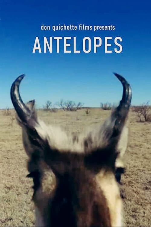 Poster for Antelopes