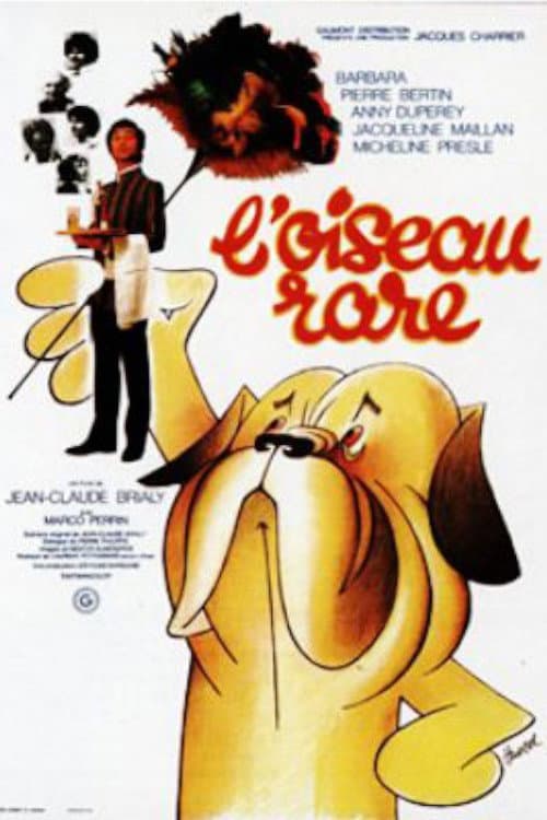 Poster for A Rare Bird