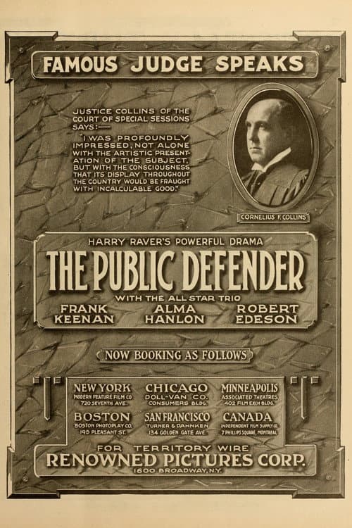Poster for The Public Defender