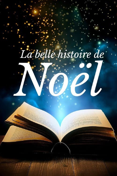 Poster for La belle histoire de Noël