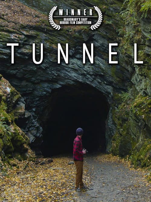 Poster for Tunnel