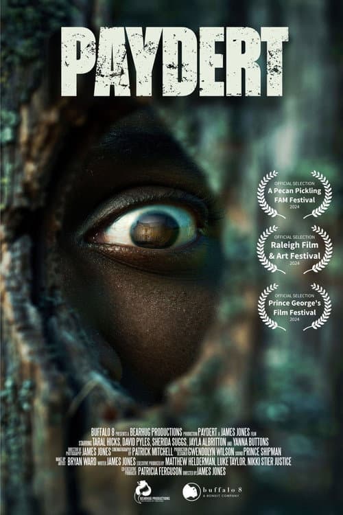 Poster for Paydert