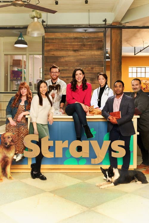 Poster for Strays