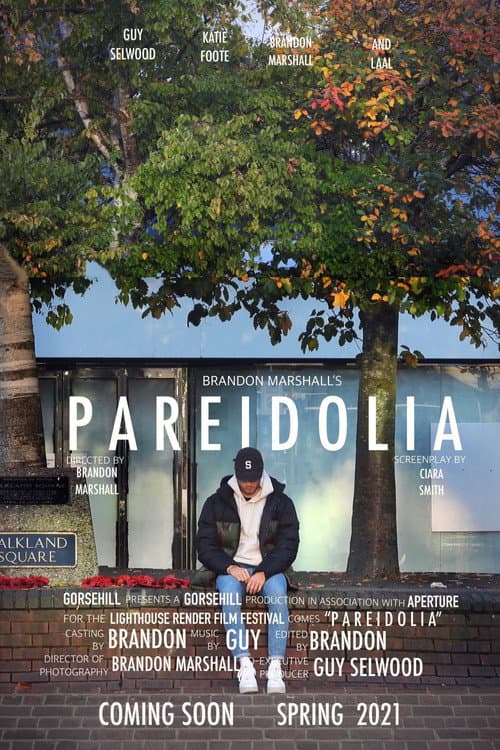 Poster for Pareidolia