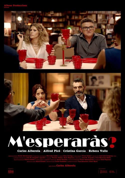 Poster for M'esperaràs?