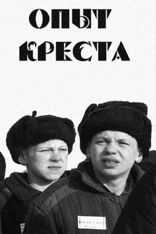 Poster for Experiment of the Cross