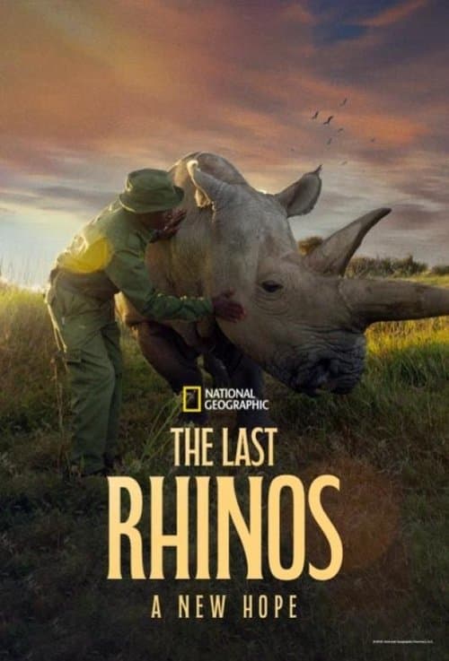 Poster for The Last Rhinos: A New Hope