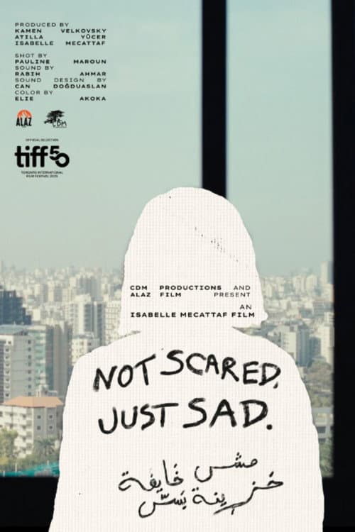 Poster for Not Scared, Just Sad