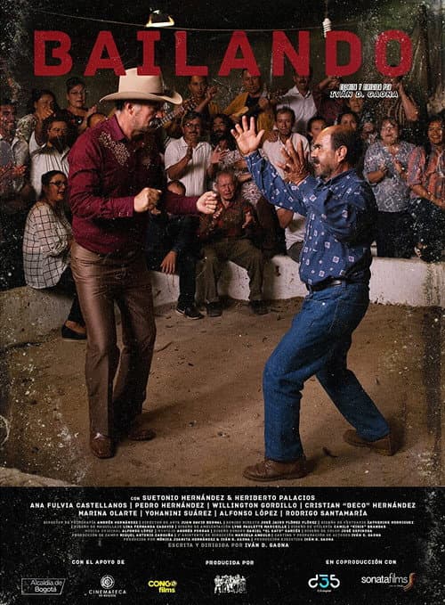 Poster for Bailando