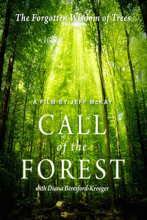 Постер до фільму «Call of the Forest: The Forgotten Wisdom of Trees»