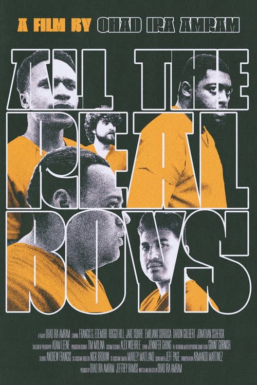 Poster for All the Real Boys