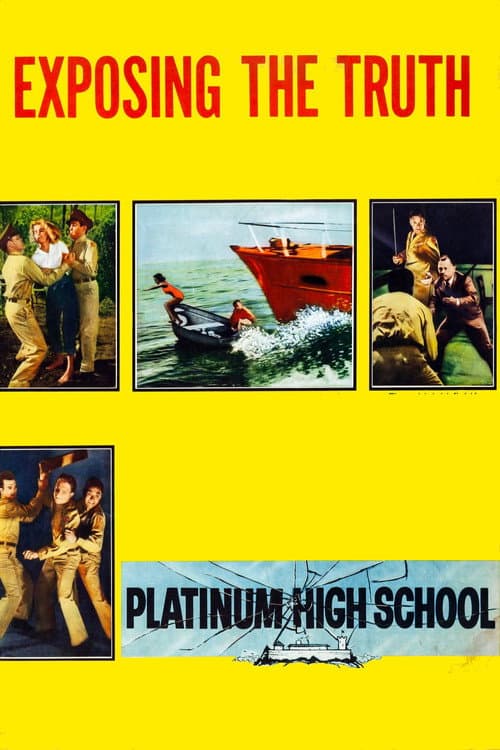 Poster for Platinum High School