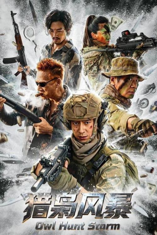 Poster for Owl Hunt Storm