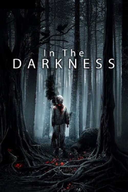 Poster for In the Darkness