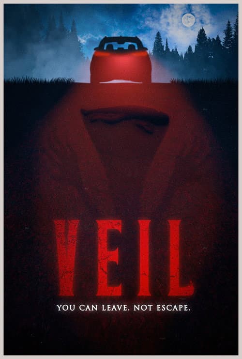Poster for VEIL