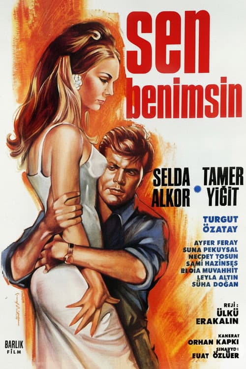 Poster for Sen Benimsin