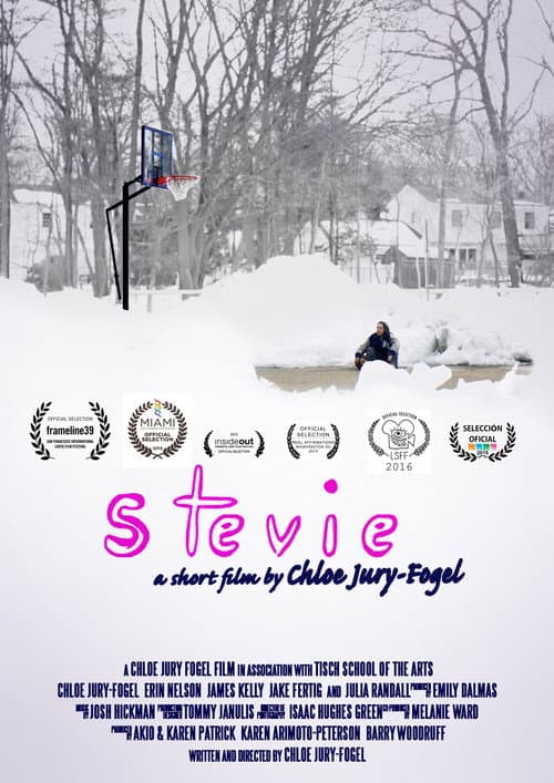 Poster for Stevie